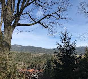 Bayerwald-Tierpark Lohberg