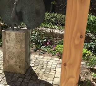 Rosengarten Nördlingen