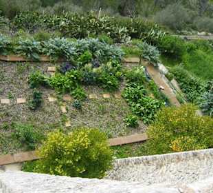 Kleiner Klostergarten unterhalb