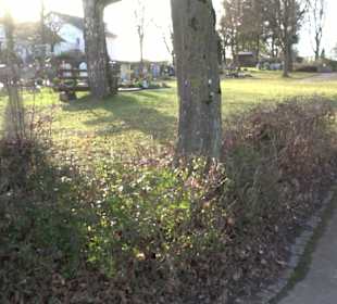 Friedhof Altenriet
