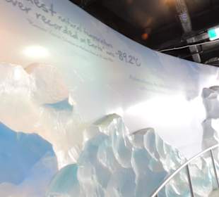 Weg zu den Pinguinen