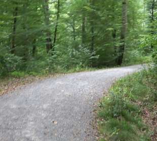 Altwege Rundwanderung Bebenhausen