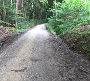Sonnenaufgangs-Rundwanderung Rübgarten