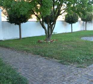 Bürgergarten Altheim