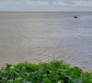 Stadtrundgang Vila Real de Santo António