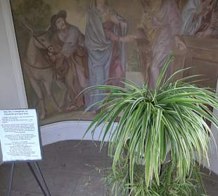 Kapellenweg Schönenberg