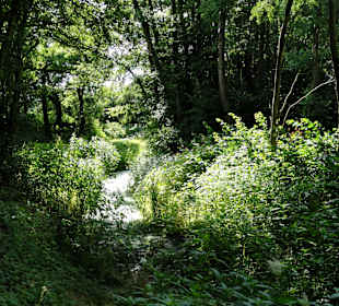 Unterwegs auf dem Huntepadd