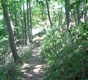 Tour entlang der Traifelbergfelsen