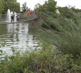 Erlebnispark Tripsdrill