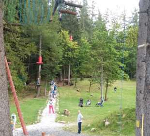 Forest Jump Park Linowy 
