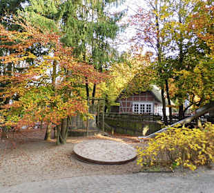 Wildparkimpressionen