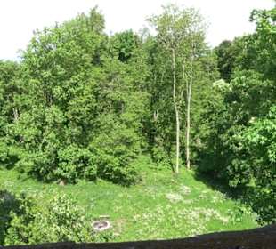 Burgruine Hohenringingen