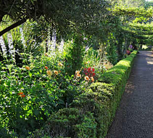 Eindrücke vom Rundgang durch Blandy´s Garden