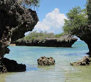 Fahrt zu den Mangroven