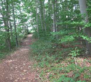 Tour entlang der Traifelbergfelsen