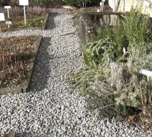 Gewürz- und Kräutergarten