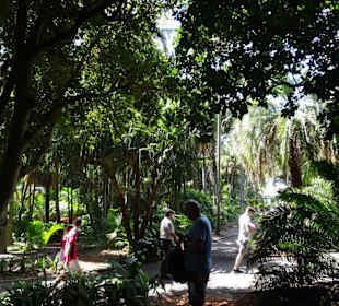 Stadtrundgang Sydney