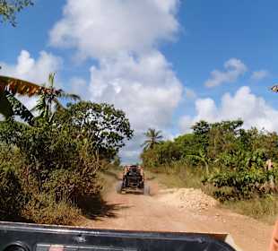 Hotel Grand Palladium Punta Cana Resort & Spa