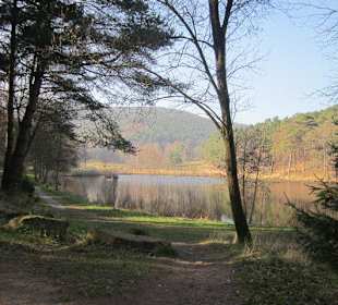 Der wunderschöne Sandwiesenweiher
