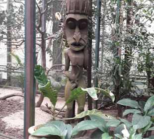 Weltvogelpark Walsrode