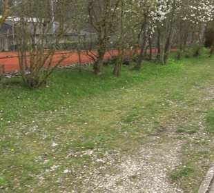 Tennisanlage Sonderbuch