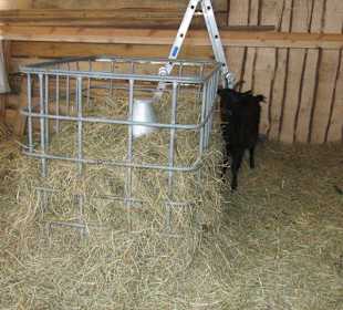 Deidesheim Weihnachtsmarkt