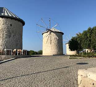 Windmühlen von Alcati