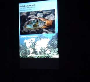 Tierpark Hellabrunn - Fische