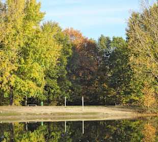 Impressionen vom Rundgang am Achterdieksee