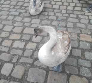 Stadtrundfahrt in Prag