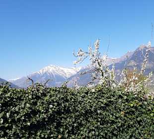 Wandern Meran