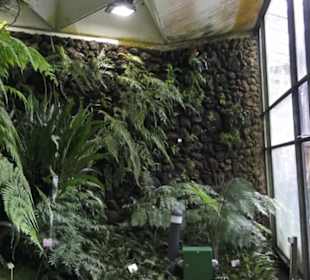 Farnhaus -  Alter Botanischer Garten