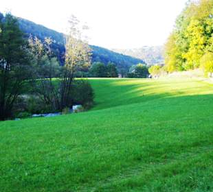 Flußlauf im unteren Bereich