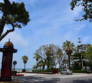 Am Park