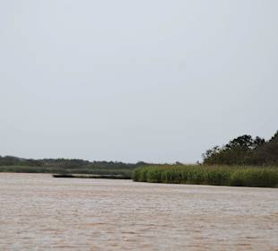 Landschaft am See