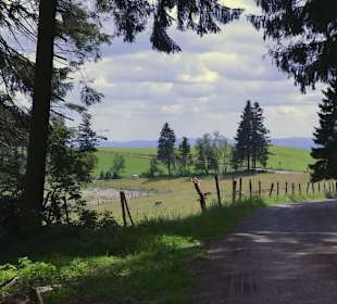 Plenty of jogging /bike tracks 