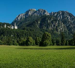 Wandern Murnau am Staffelsee