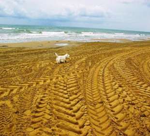 Ende September 2010 Impressionen