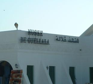 Guellala der höchste Punkt auf Djerba