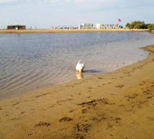 Strand Bibione 06_2011
