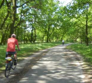 Naturschutzgebiet Boberger Niederung