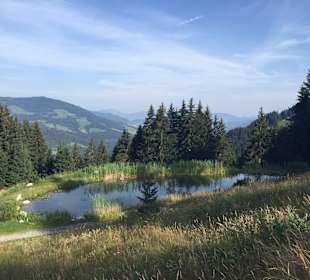 Wandern Westendorf