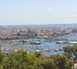 Verschieden Ausblicke Sightseeing Bus