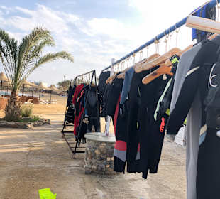 ORCA Dive Club Coral Garden