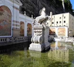 Ansichten der Salzburger Pferdeschwemme