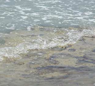 Strand von Bibione 06-2010
