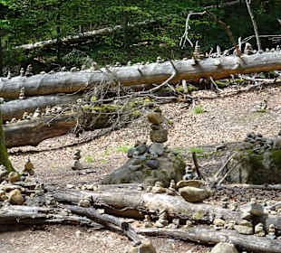 Wandern Bad Schandau