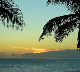 Meloneras gran canarias