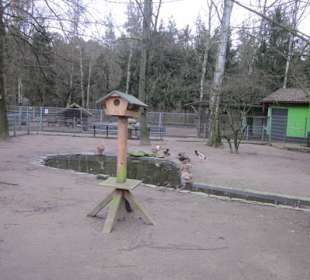Vogelpark Kirrlach