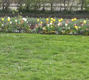 Bürgerpark Offenburg